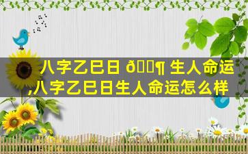 八字乙巳日 🐶 生人命运,八字乙巳日生人命运怎么样